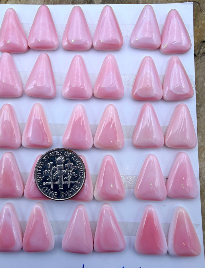Pink Queen Conch 11x16mm Calibrated Cabochons One Pair (2