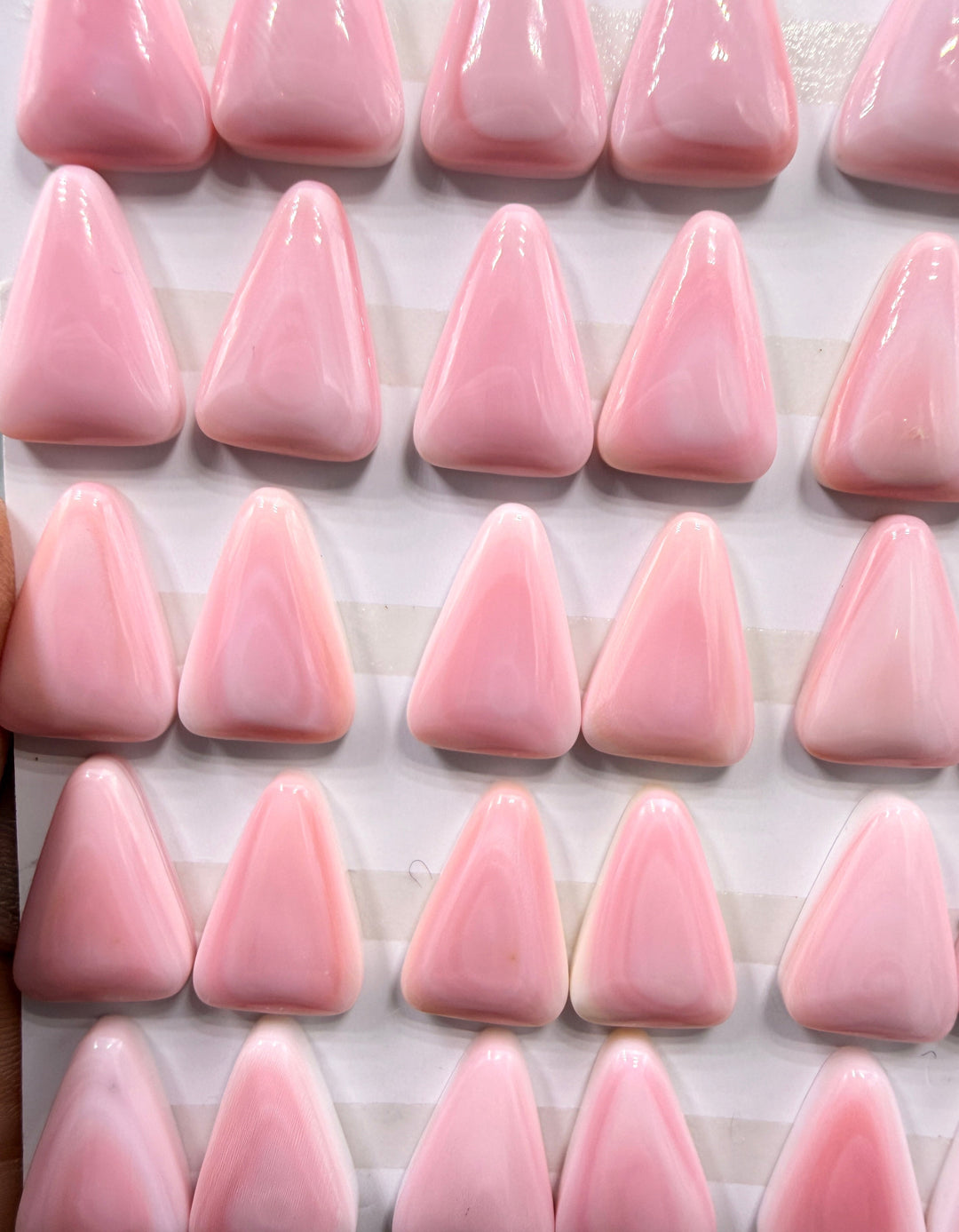 Pink Queen Conch 11x16mm Calibrated Cabochons One Pair (2