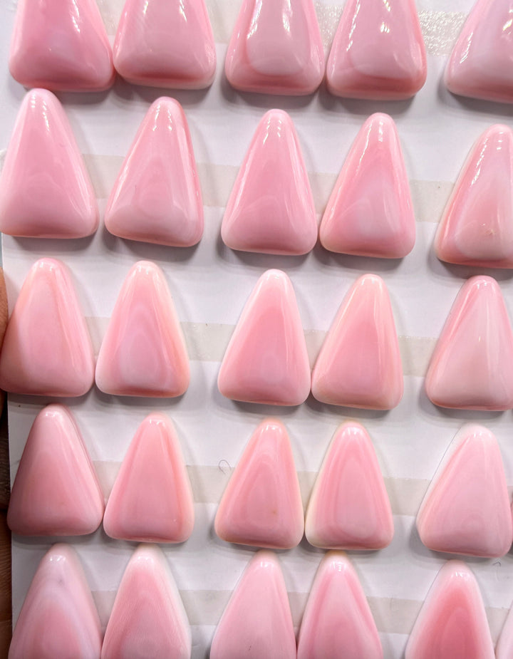Pink Queen Conch 11x16mm Calibrated Cabochons One Pair (2
