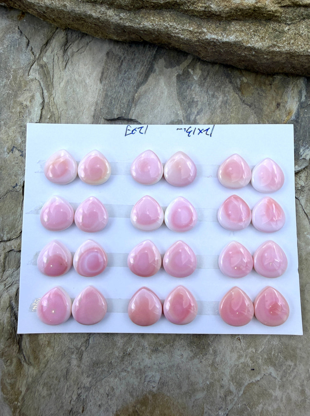 Pink Queen Conch 12x13mm Calibrated Teardrop Cabochons