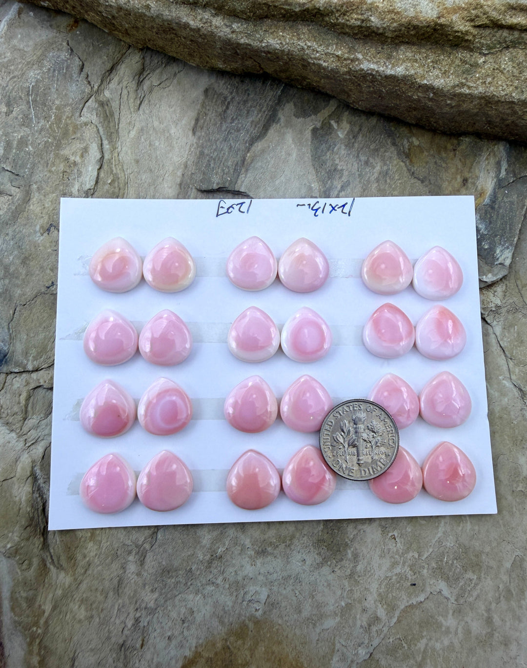 Pink Queen Conch 12x13mm Calibrated Teardrop Cabochons