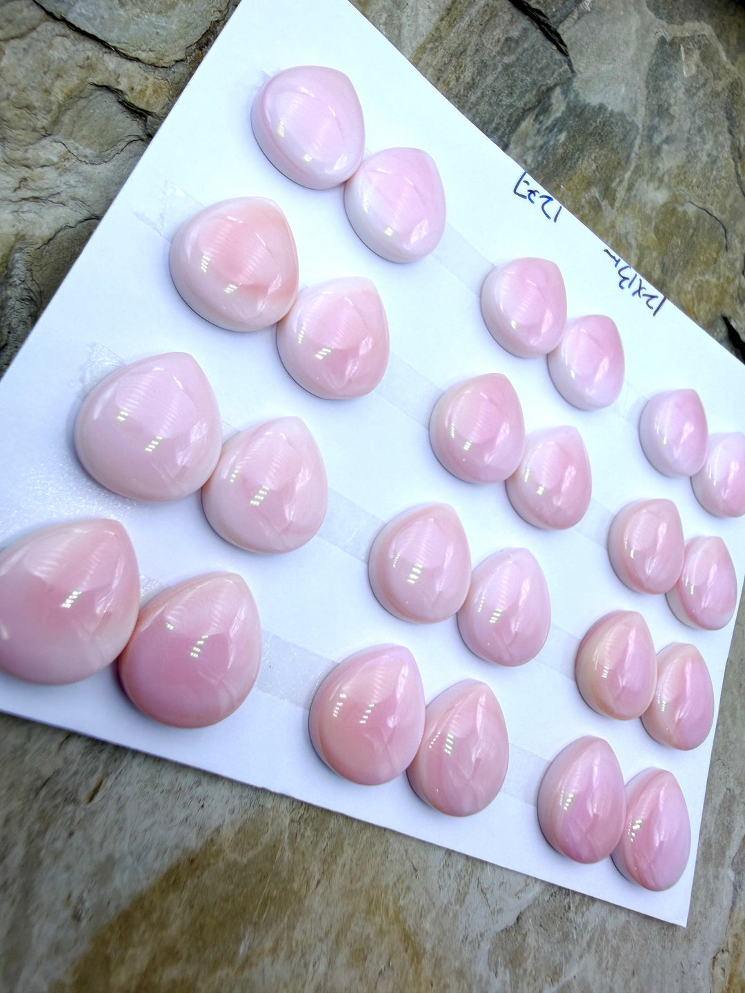 Pink Queen Conch 12x13mm Teardrop Calibrated Cabochons
