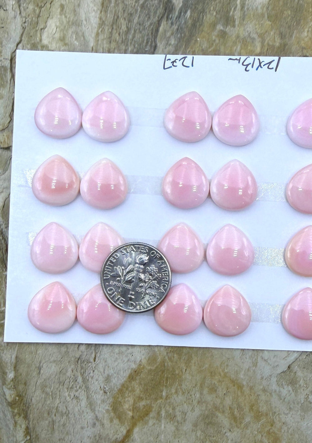 Pink Queen Conch 12x13mm Teardrop Calibrated Cabochons