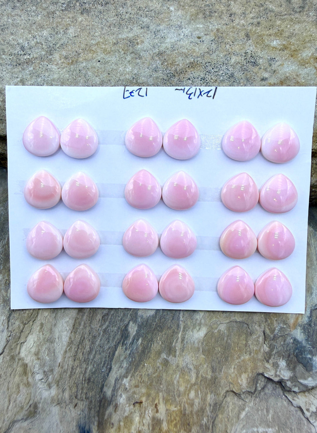 Pink Queen Conch 12x13mm Teardrop Calibrated Cabochons