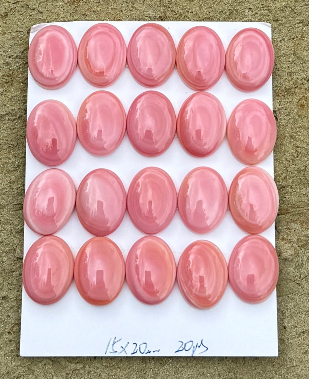 Pink Queen Conch 15x20mm Calibrated Oval Cabochon One Cab