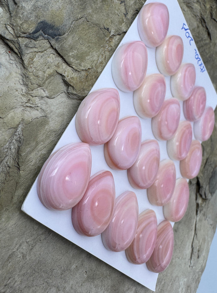 Pink Queen Conch 15x20mm Calibrated Teardrop Cabochons