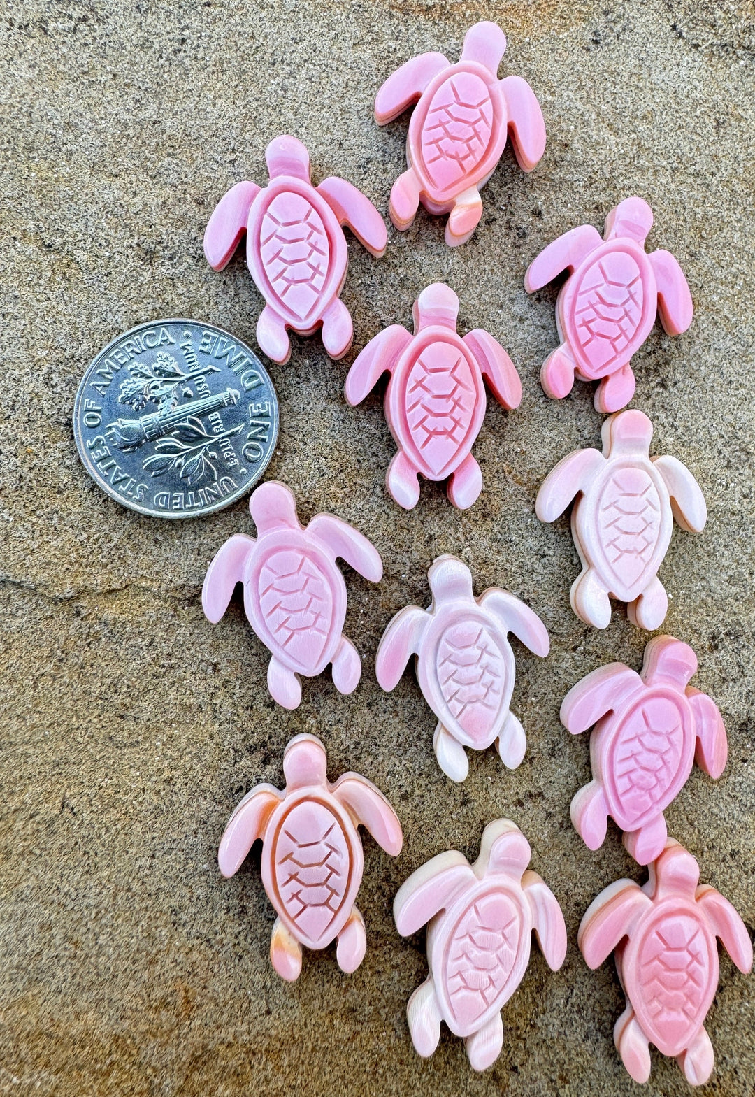 Pink Queen Conch Carved Turtle Beads Package of 2 Beads
