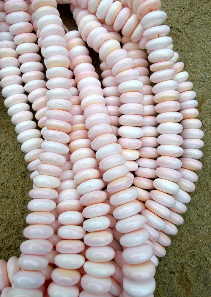 Pink Queen Conch Shell 10mm Rondelle Bead Strand (16 inch