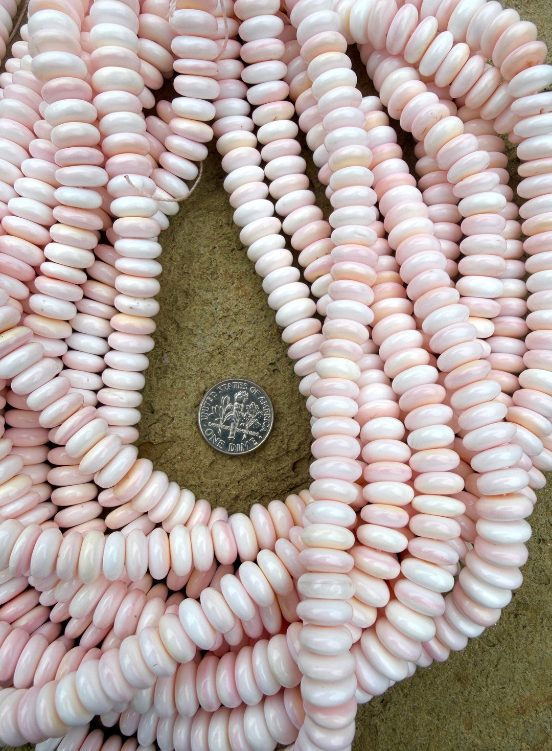 Pink Queen Conch Shell 10mm Rondelle Nugget Bead Strand (16