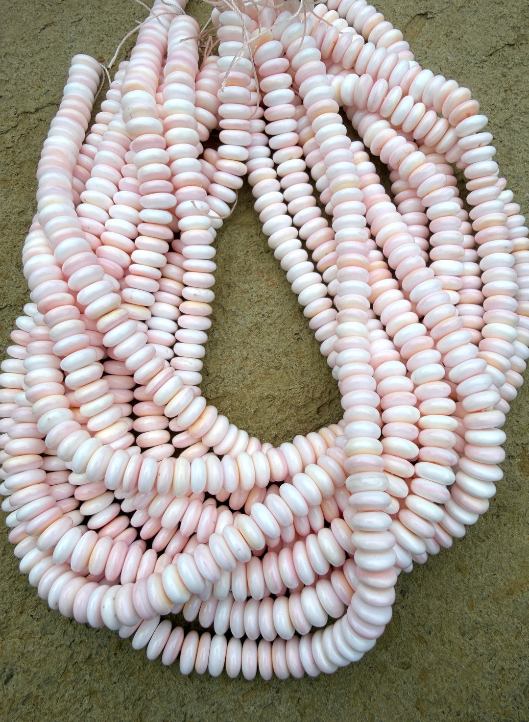Pink Queen Conch Shell 10mm Rondelle Nugget Bead Strand (16