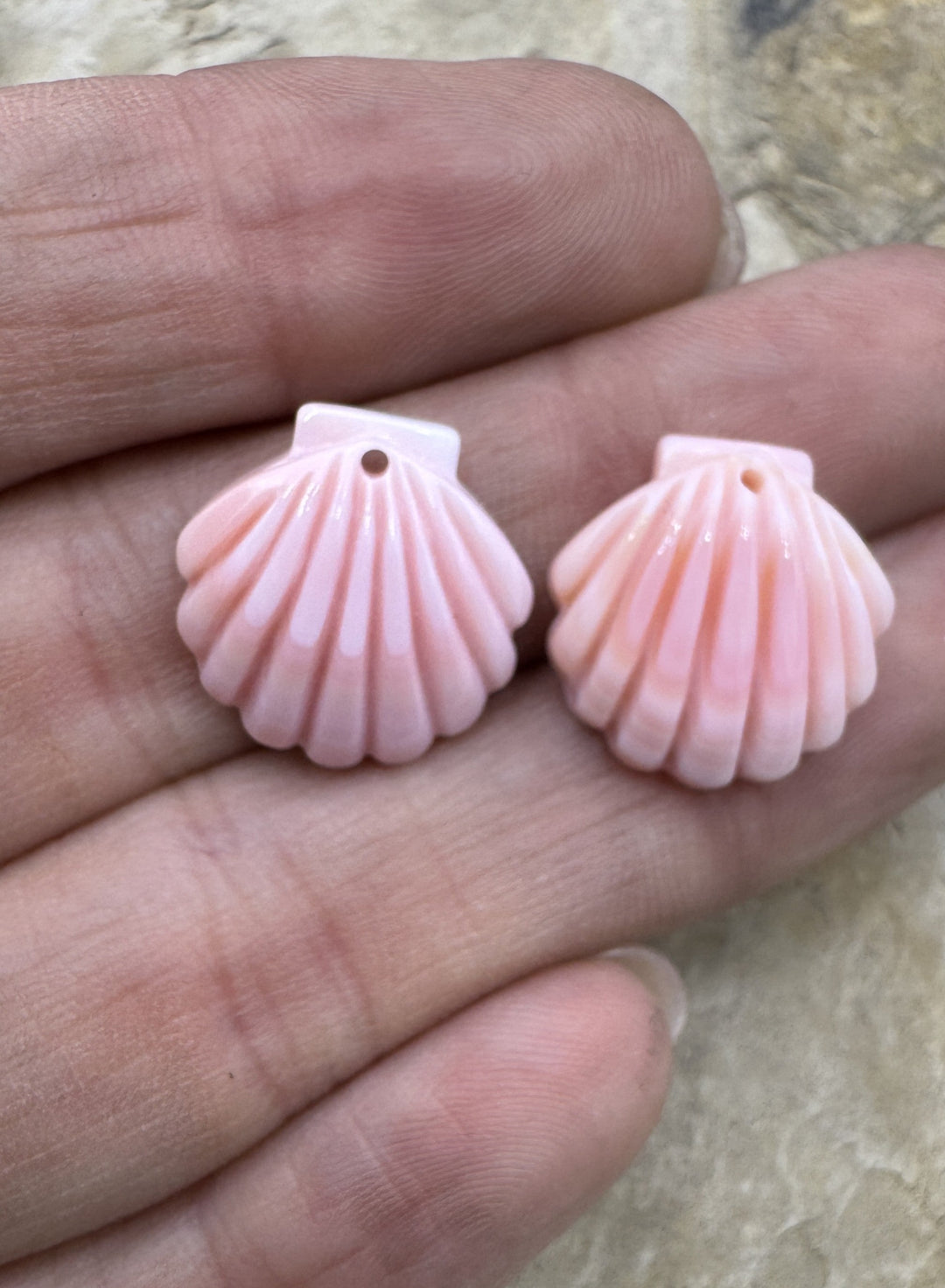 Pink Queen Conch Shell 16mm Carved Sea Shell Earring Pair
