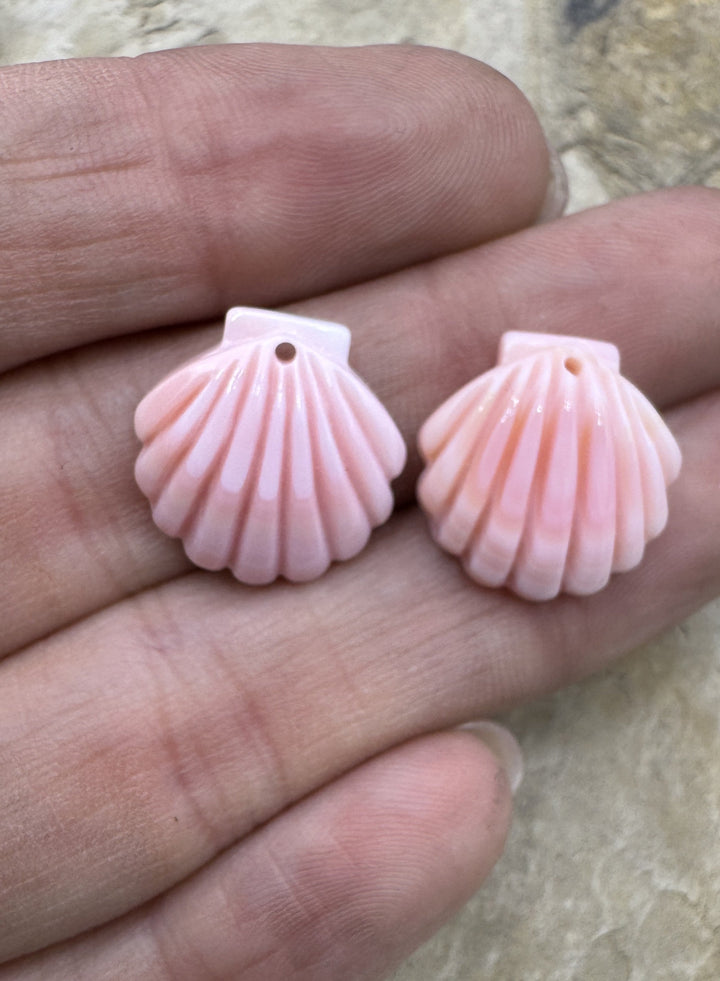 Pink Queen Conch Shell 16mm Carved Sea Shell Earring Pair