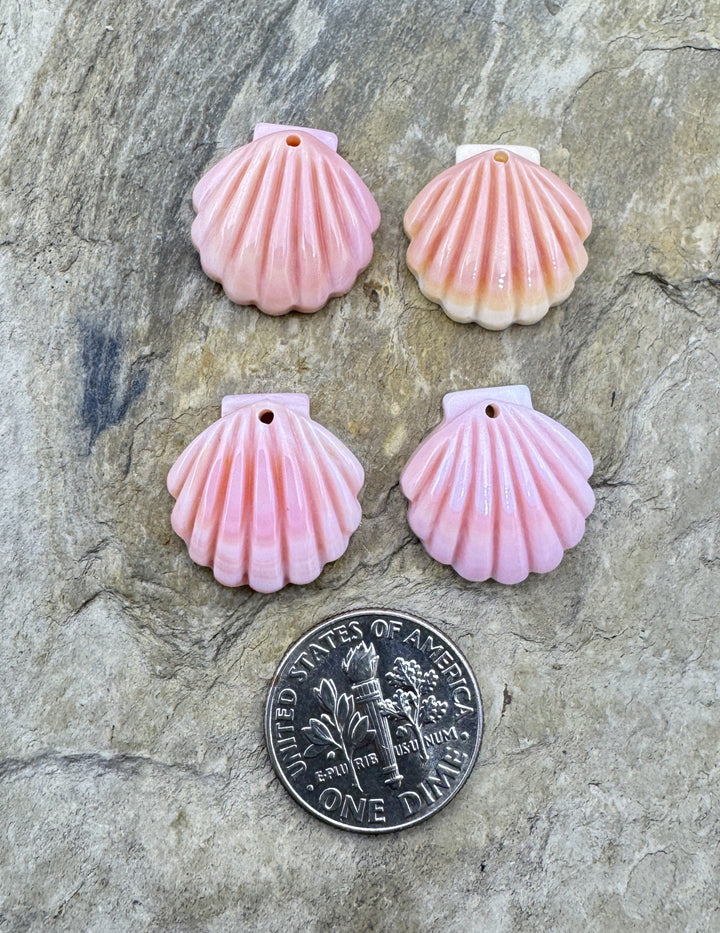 Pink Queen Conch Shell 16mm Carved Sea Shell Earring Pair