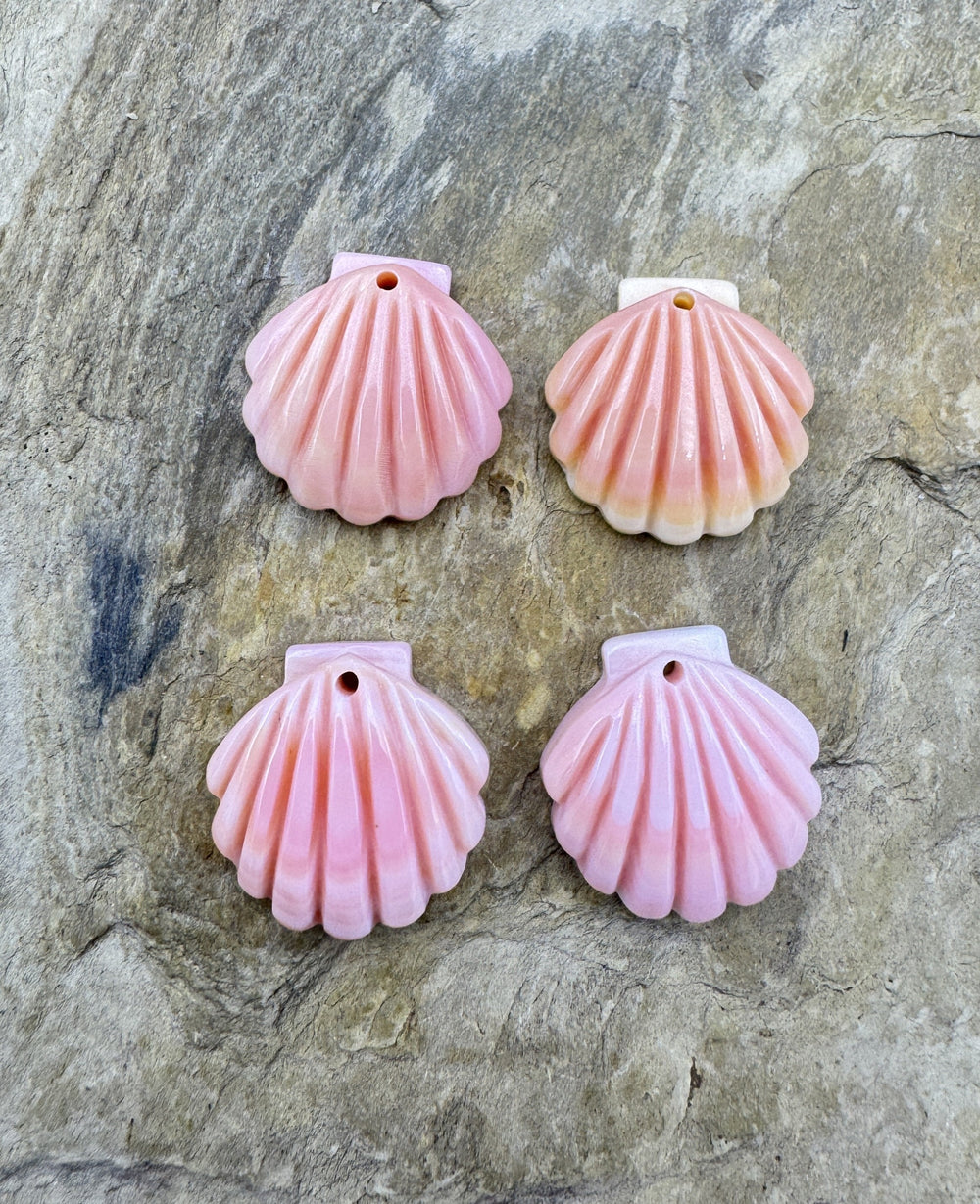 Pink Queen Conch Shell 16mm Carved Sea Shell Earring Pair