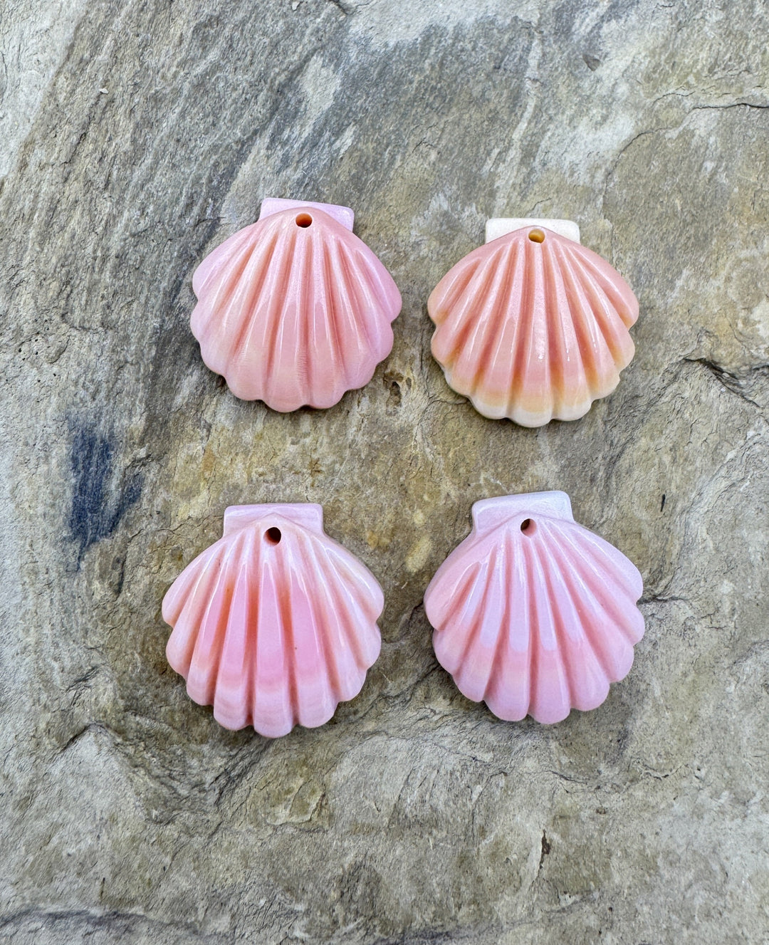 Pink Queen Conch Shell 16mm Carved Sea Shell Earring Pair