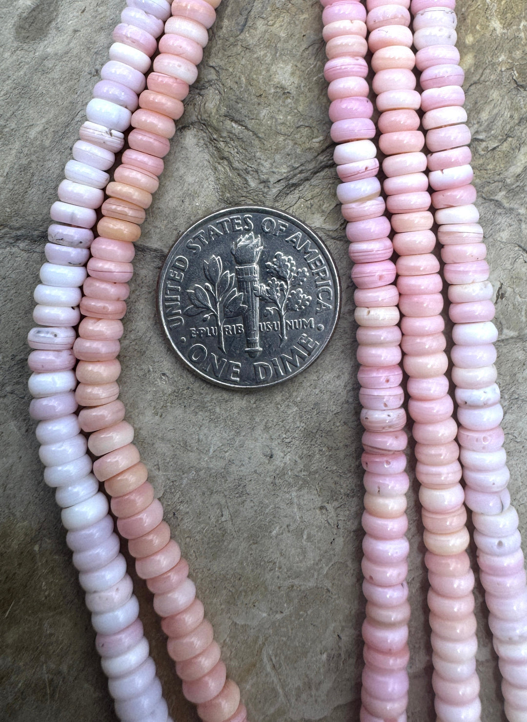 Pink Queen Conch Shell 4mm Button Bead Strand (16 inch
