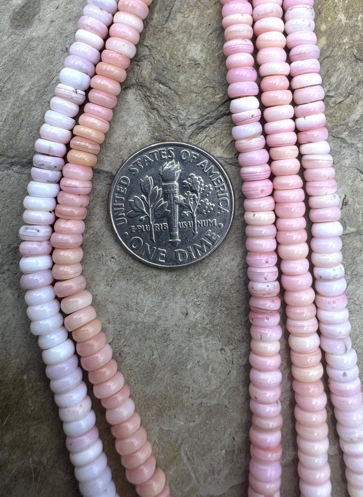 Pink Queen Conch Shell 4mm Button Bead Strand (16 inch