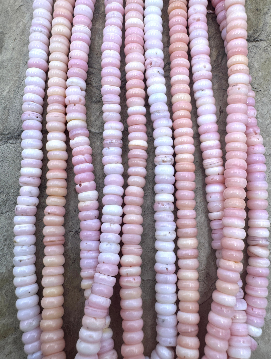 Pink Queen Conch Shell 4mm Button Bead Strand (16 inch