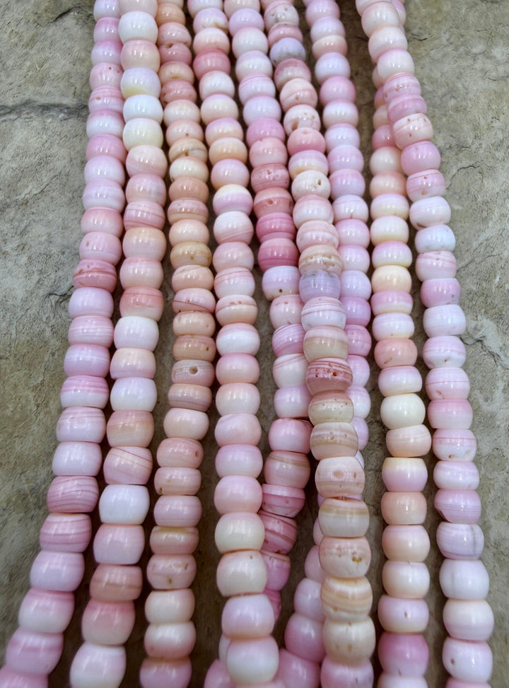 Pink Queen Conch Shell 4mm Rondelle Bead Strand (16 inch