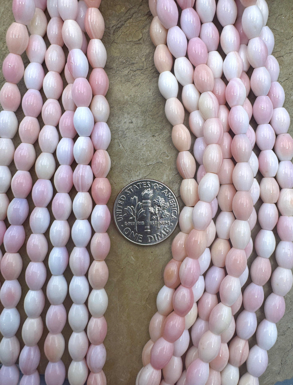 Pink Queen Conch Shell 5x7mm Rice Shaped Beads 16 inch