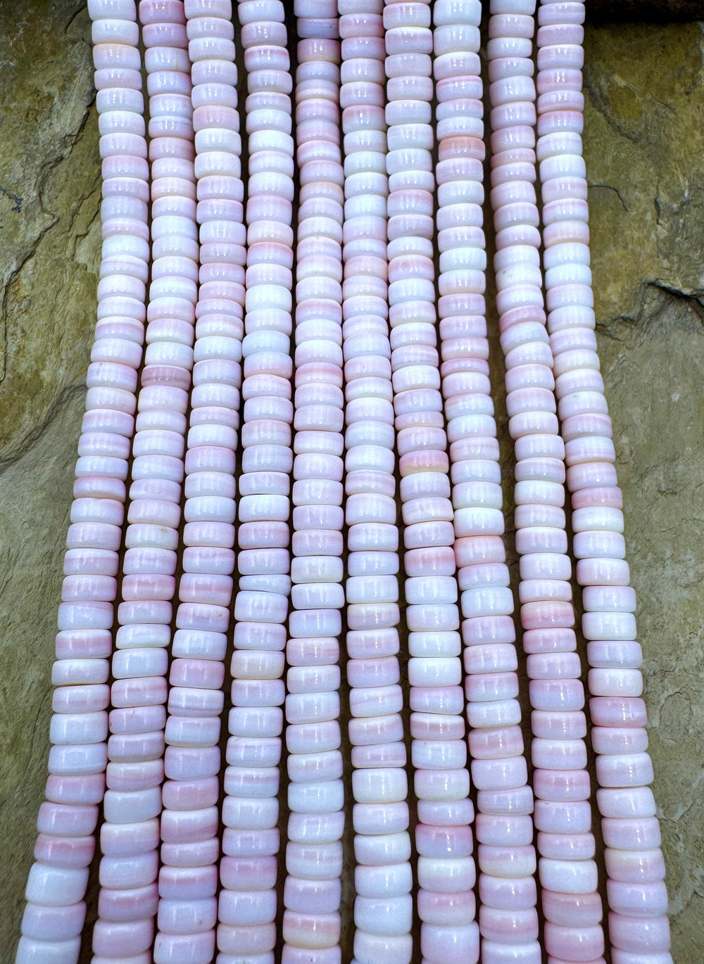 Pink Queen Conch Shell 6mm Heishi Bead Strand (16 inch