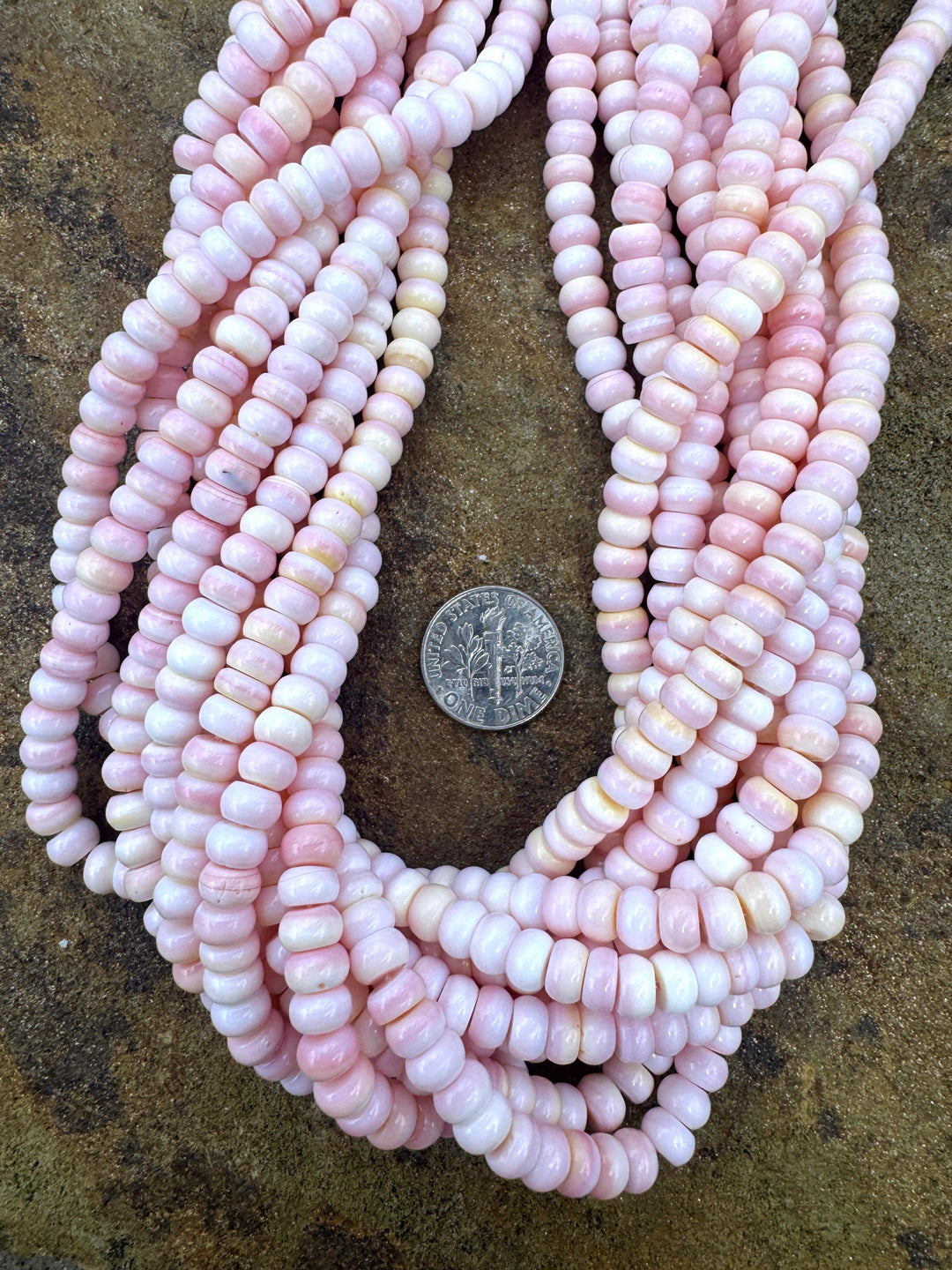 Pink Queen Conch Shell 6mm Rondelle Bead Strand (16 inch