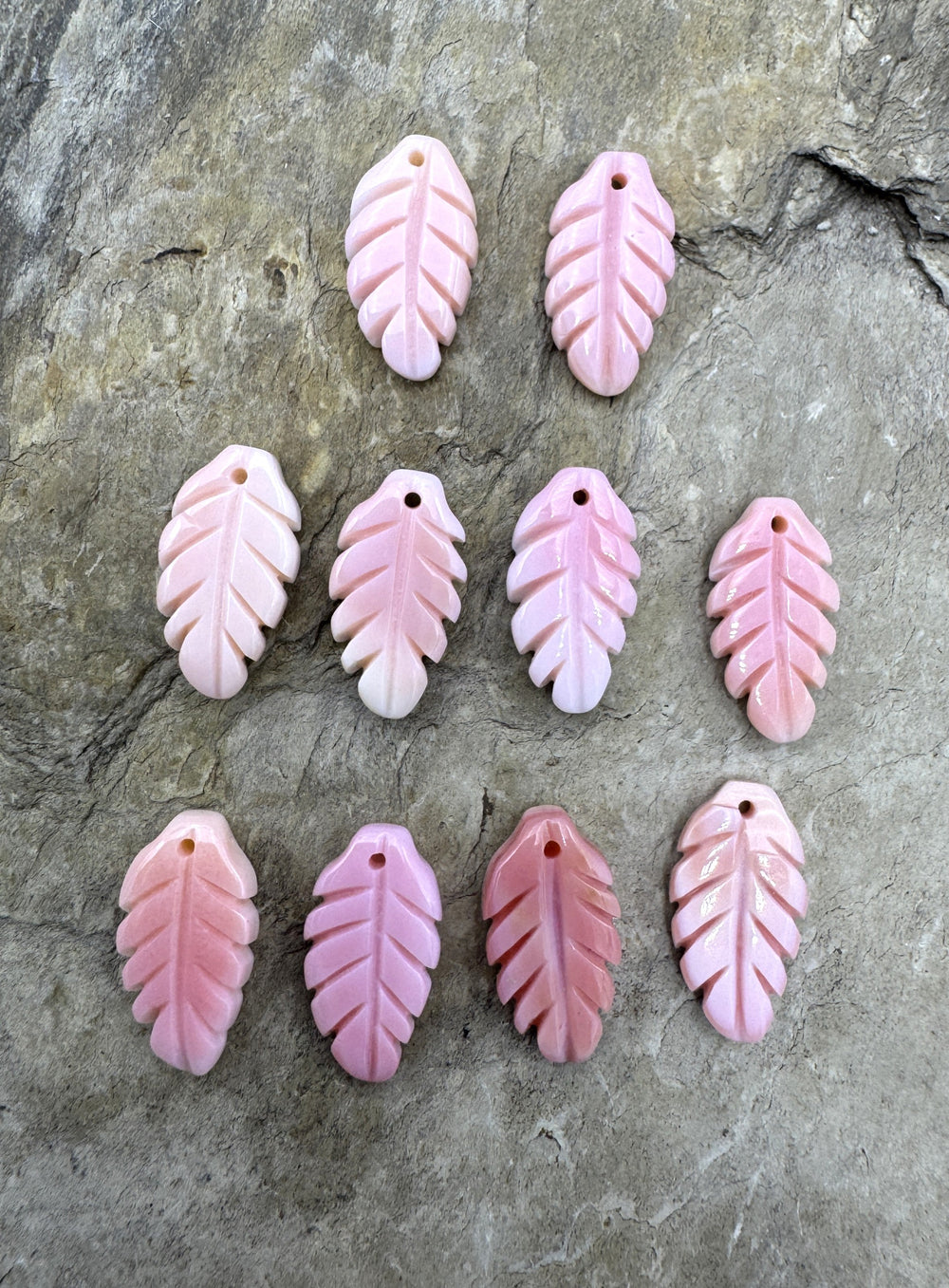 Pink Queen Conch Shell 8x15mm Carved Feather Earring Pair