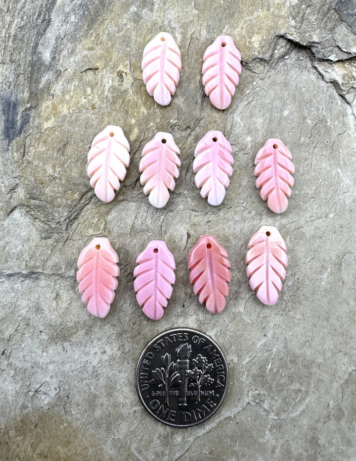 Pink Queen Conch Shell 8x15mm Carved Feather Earring Pair