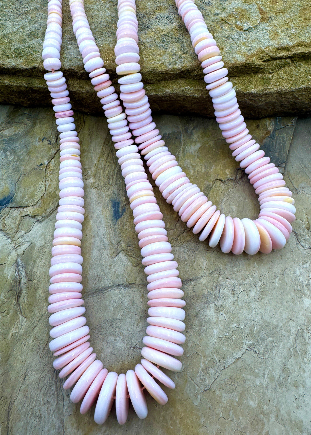 Pink Queen Conch Shell BIG Graduated Saucer Beads 6-14mm 16