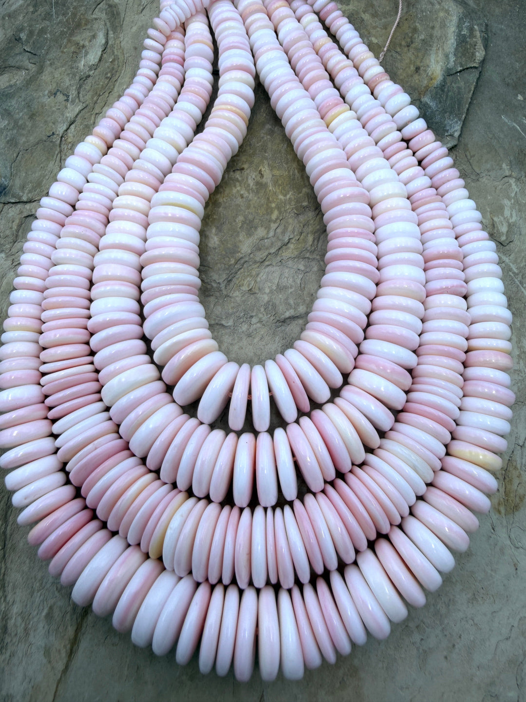 Pink Queen Conch Shell Graduated Disc Beads 6-14mm 16 inch