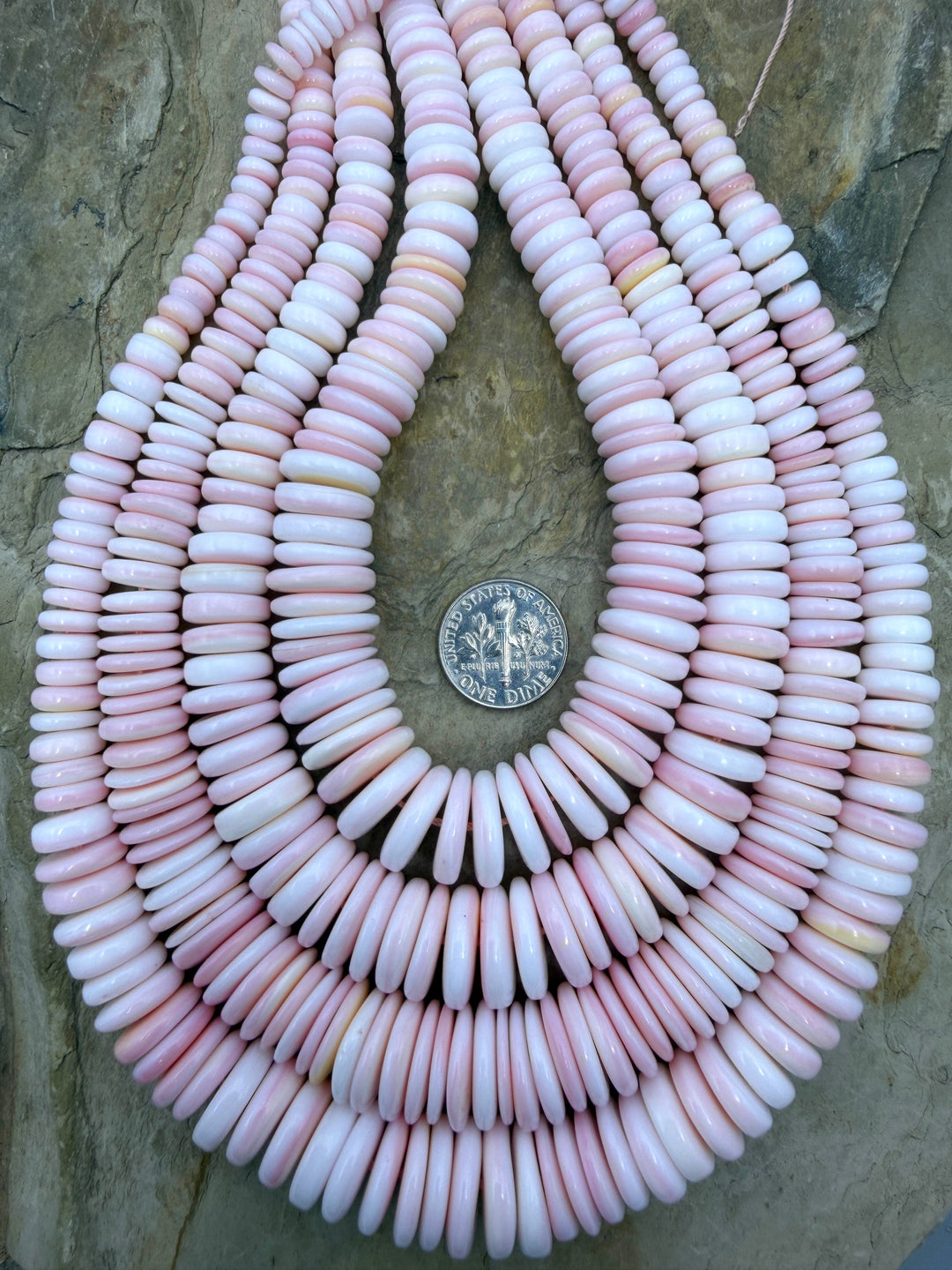 Pink Queen Conch Shell Graduated Disc Beads 6-14mm 16 inch