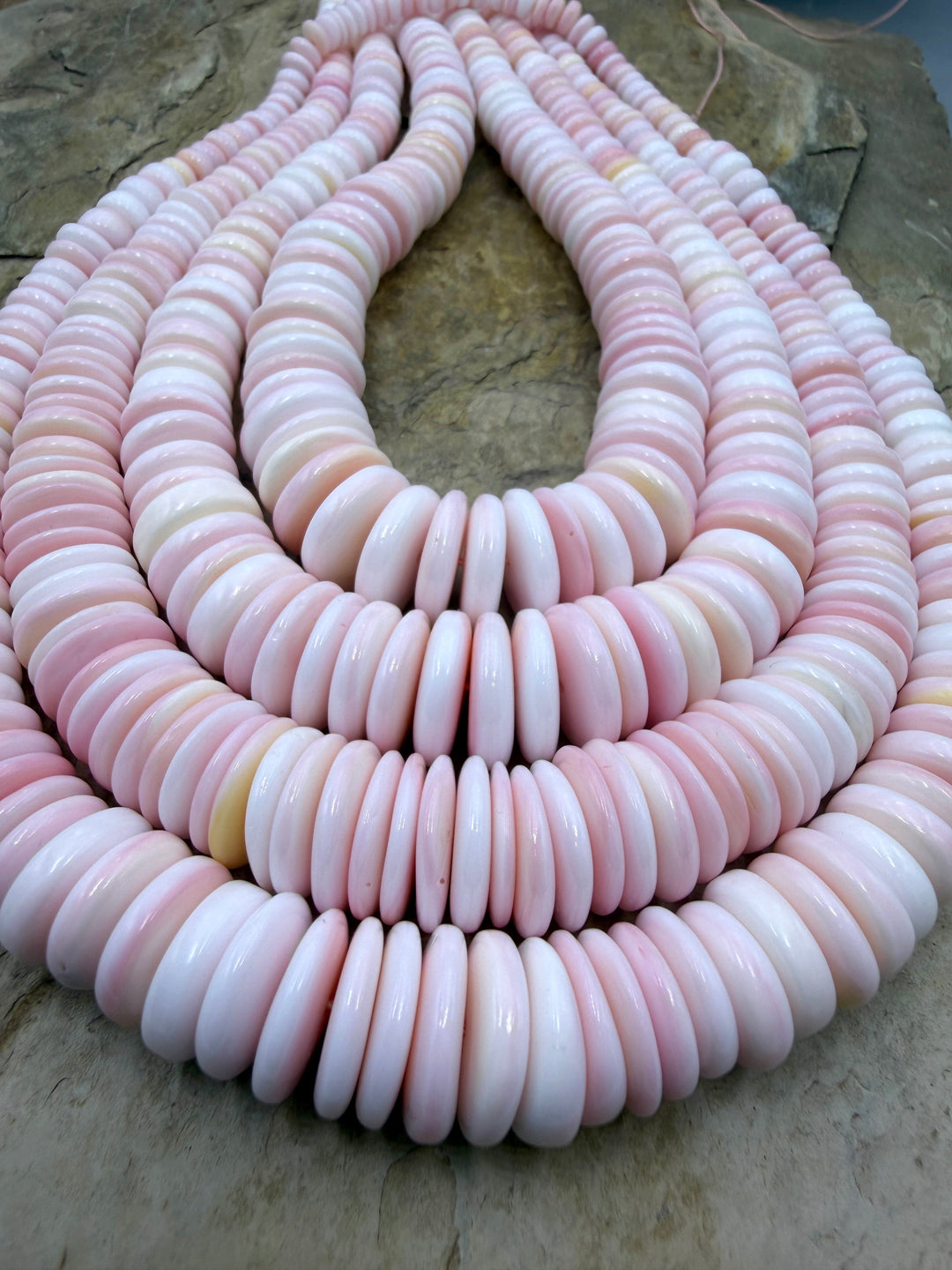 Pink Queen Conch Shell Graduated Disc Beads 6-14mm 16 inch