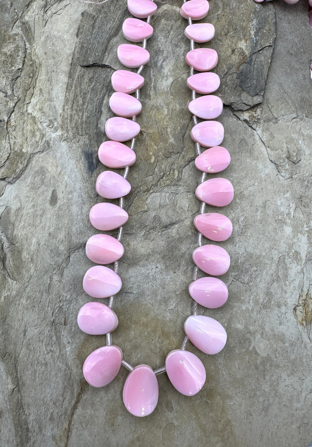 Pink Queen Conch Shell Graduated Pedal Shaped Beads 16 inch