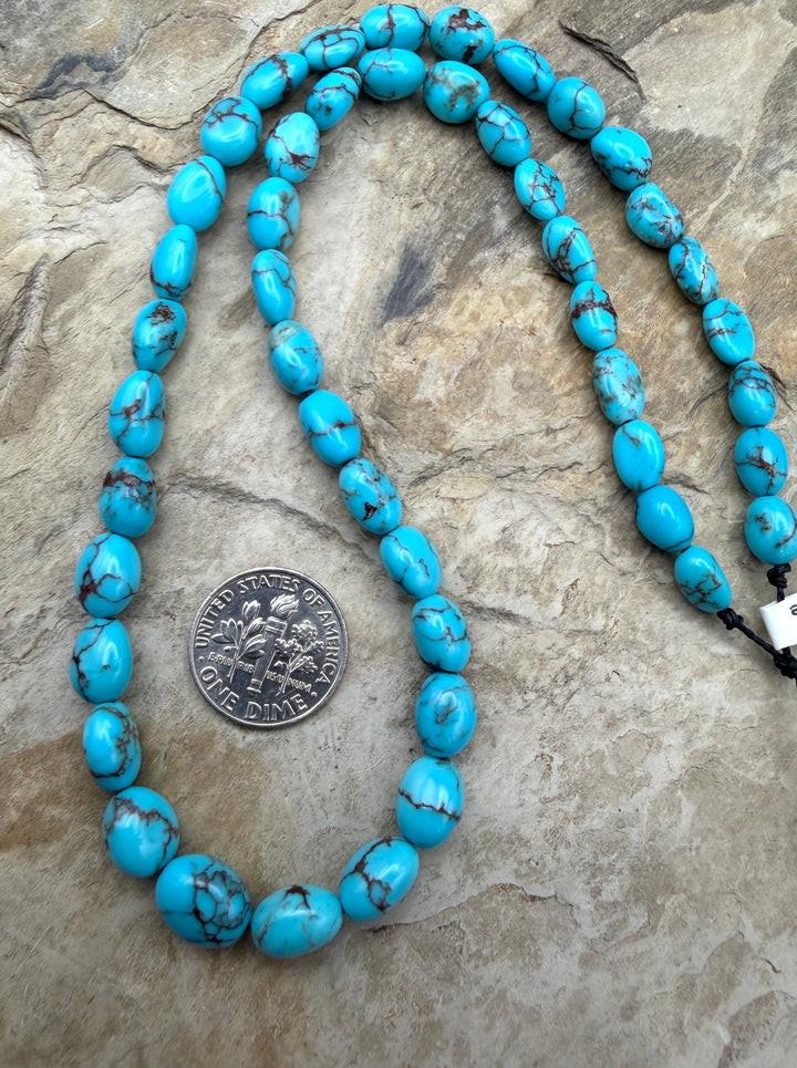 Prince Turquoise (Egypt) Graduated Rounded Nugget Beads