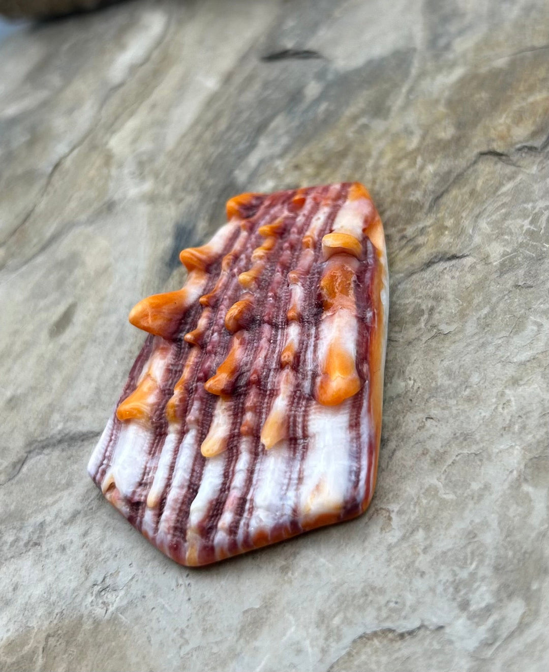 Purple and Orange Spiny Oyster BIG Focal Pendant Bead