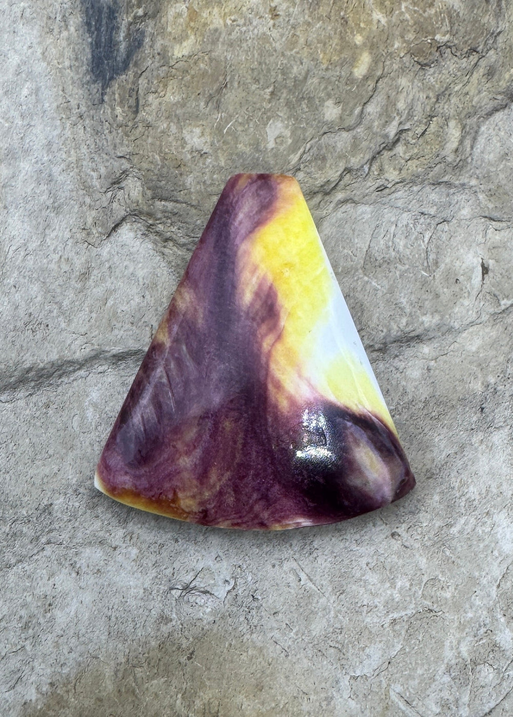 Purple and Yellow Spiny Oyster Cabochon 30x33mm - Spiney