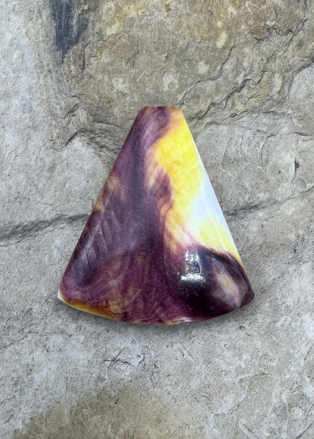 Purple and Yellow Spiny Oyster Cabochon 30x33mm - Spiney