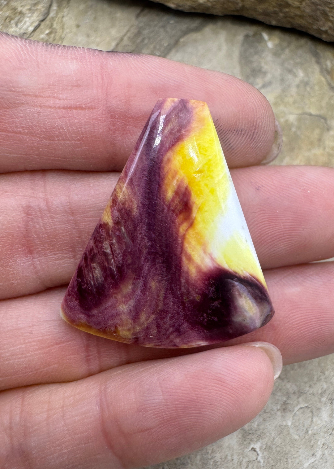 Purple and Yellow Spiny Oyster Cabochon 30x33mm - Spiney