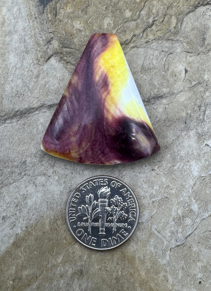 Purple and Yellow Spiny Oyster Cabochon 30x33mm - Spiney