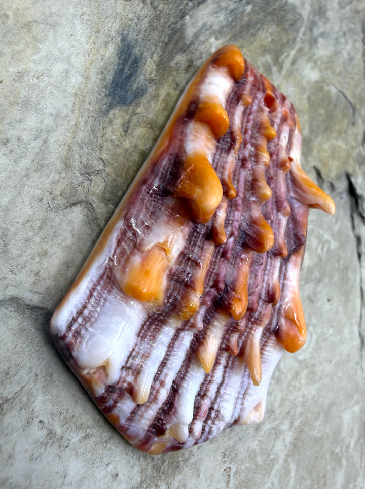 Purple/Orange Spiny LARGE Focal Pendant Bead (Large Hole)