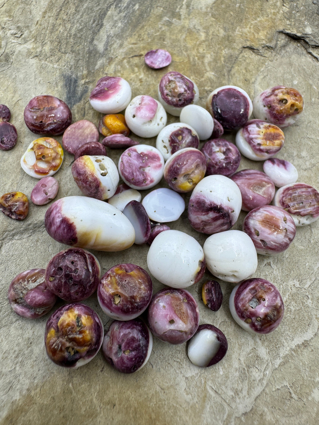 Purple Spiny Oyster Polished Undrilled Nuggets 4 14mm (pkg