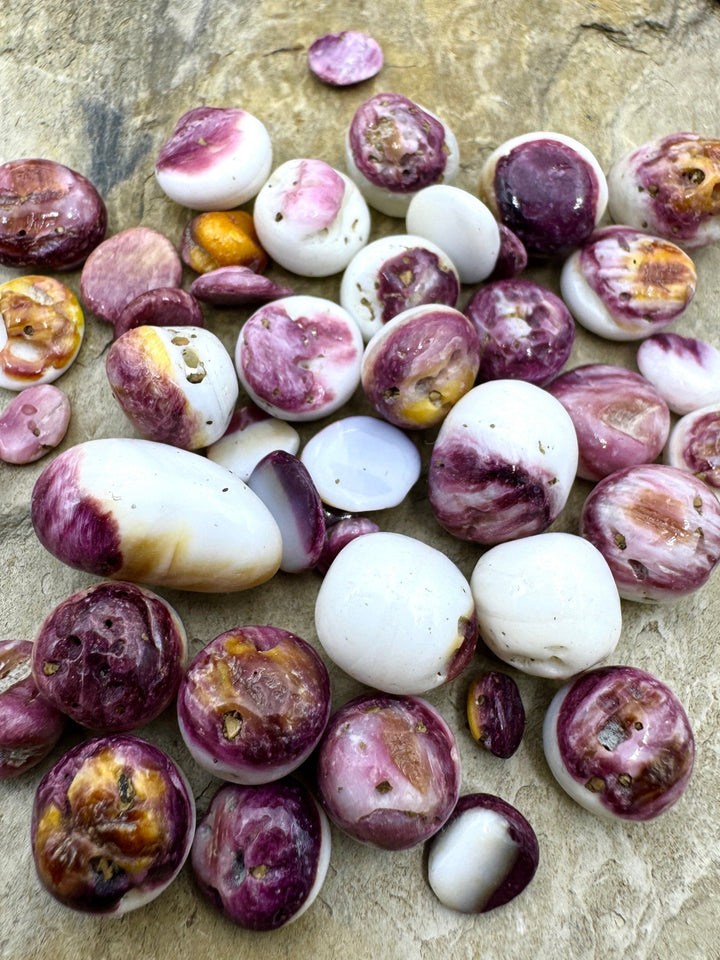 Purple Spiny Oyster Polished Undrilled Nuggets 4-14mm (pkg