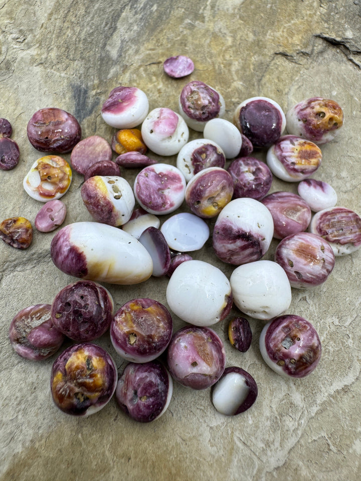 Purple Spiny Oyster Polished Undrilled Nuggets 4-14mm (pkg