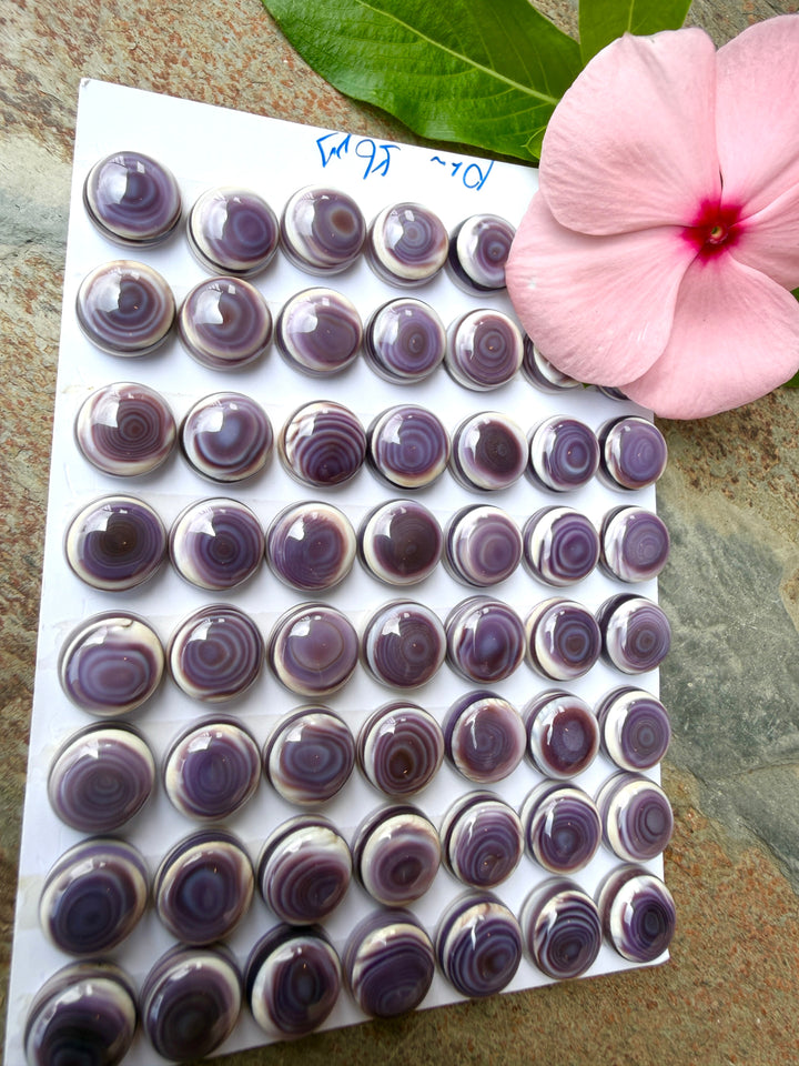 Purple Wampum/Quahog Shell 10mm Calibrated Round Cabochons