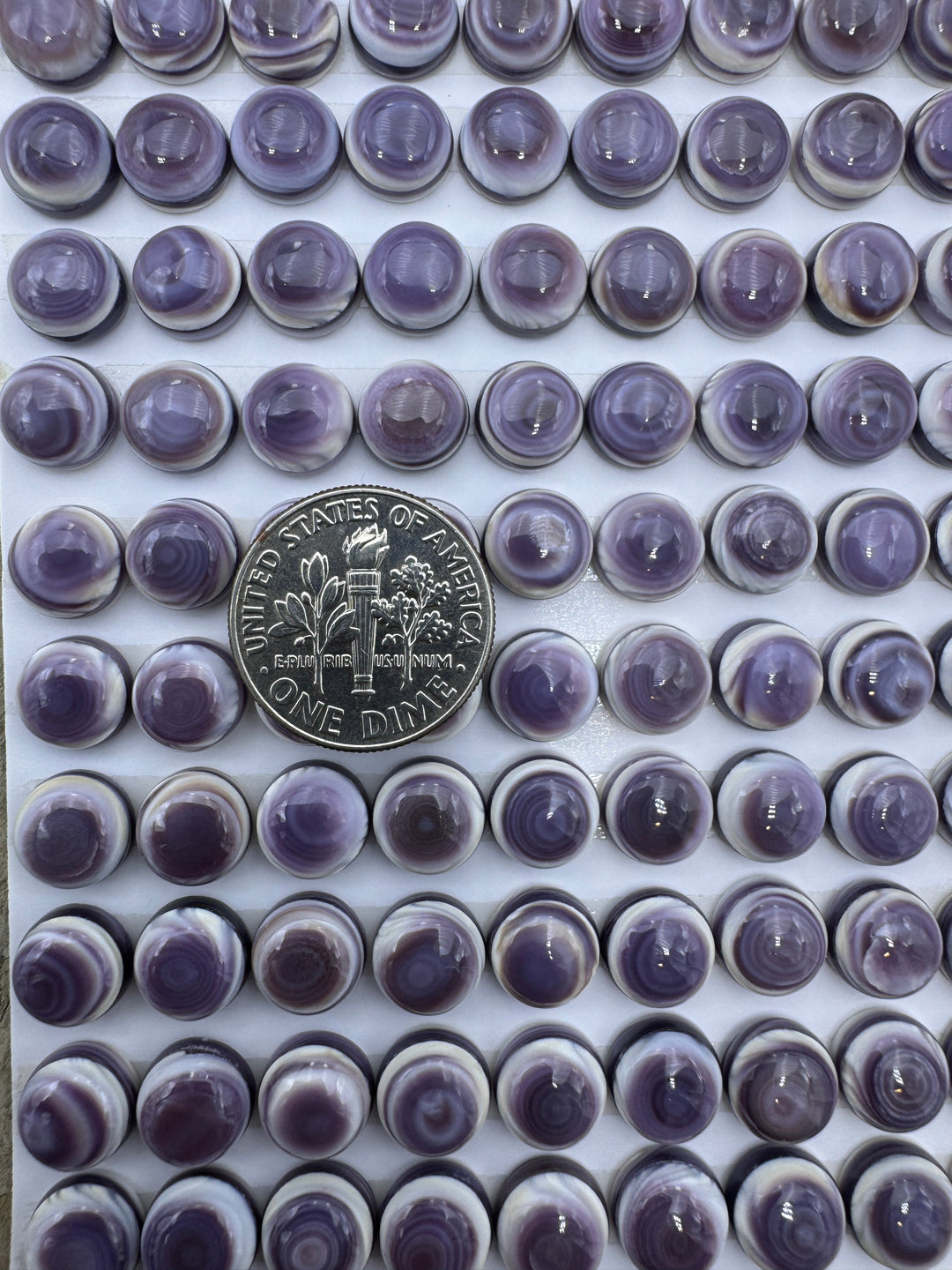 Purple Wampum/Quahog Shell 8mm Calibrated Round Cabochons