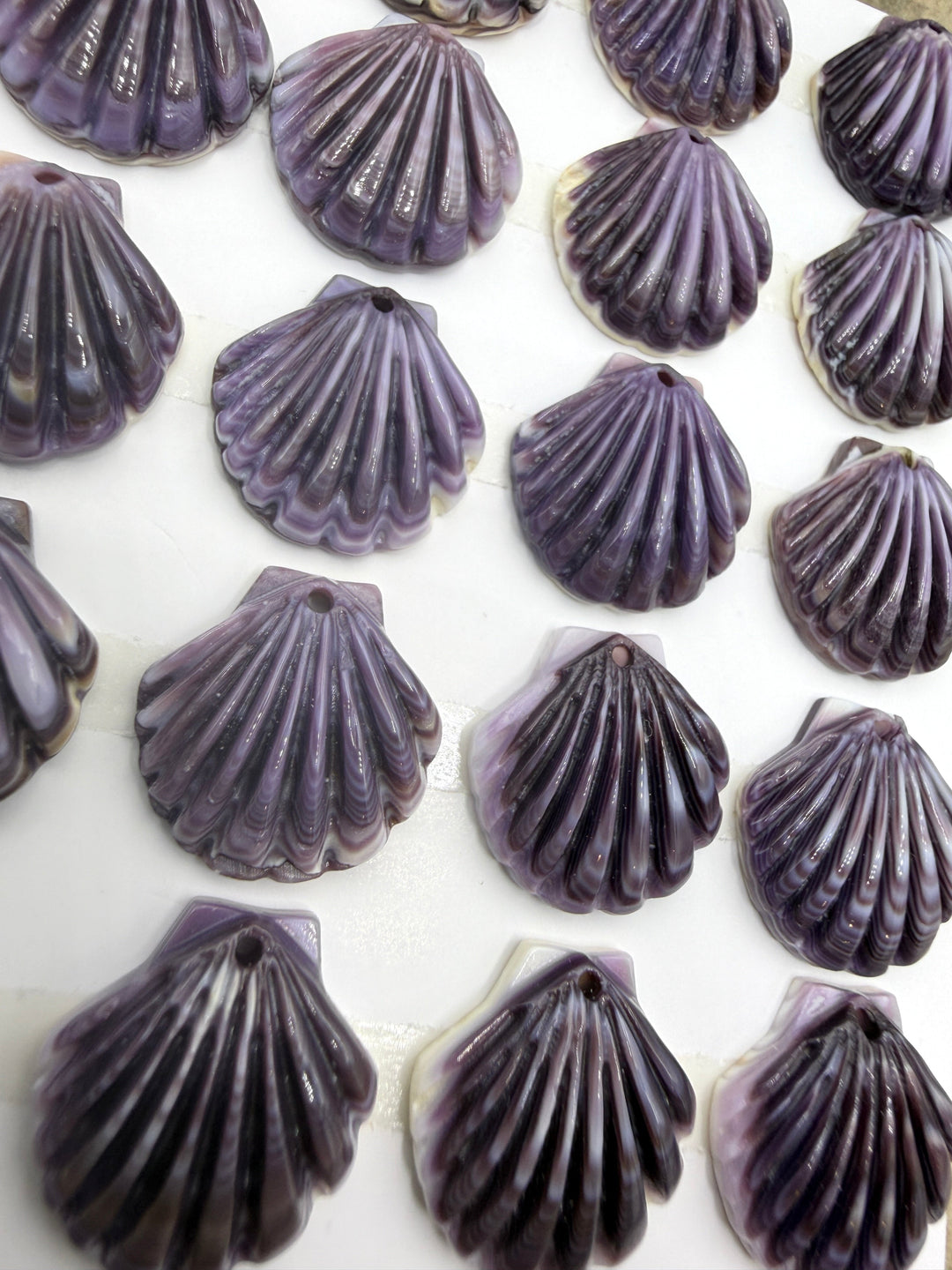 Purple Wampum/Quahog Shell sea Shell Shaped Focal Beads