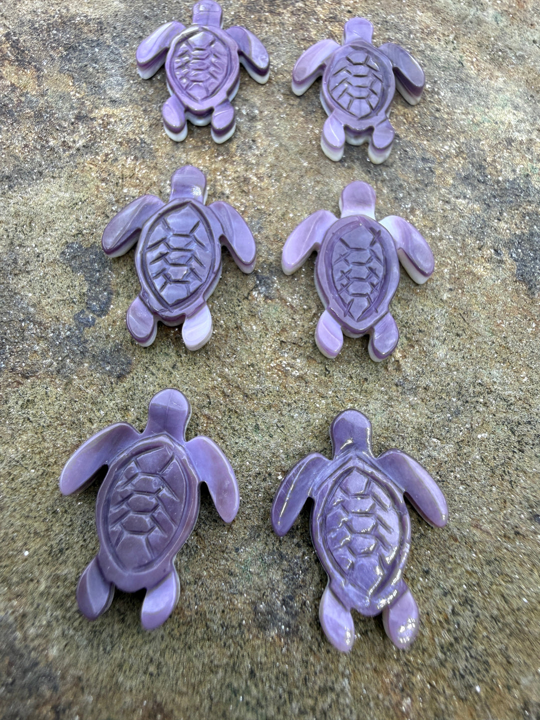 Purple Wampum/Quahog Shell Turtle Beads 15x20mm Package