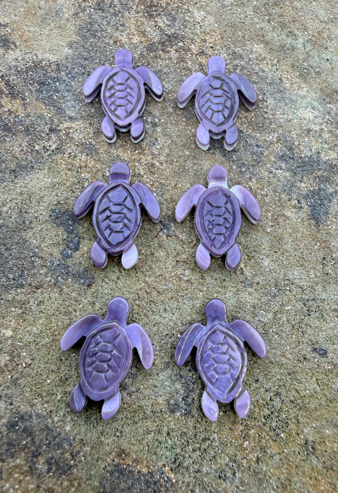 Purple Wampum/Quahog Shell Turtle Beads 15x20mm Package