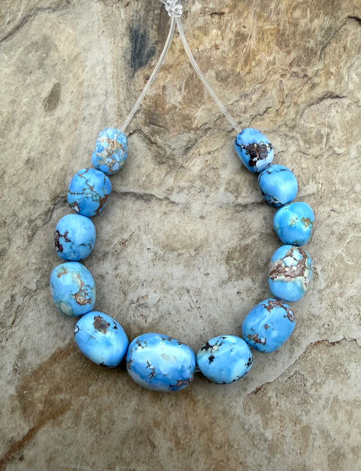 RARE AA+ Golden Hills Turquoise (Kazakhstan) Large Rounded