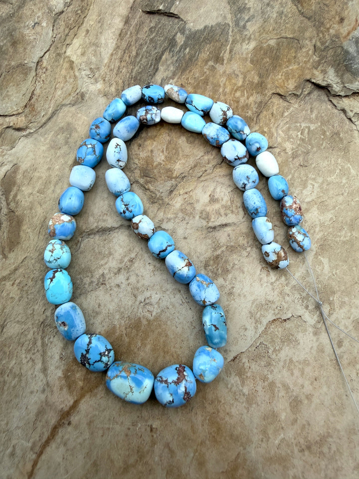 RARE AA+ Golden Hills Turquoise (Kazakhstan) Large Rounded
